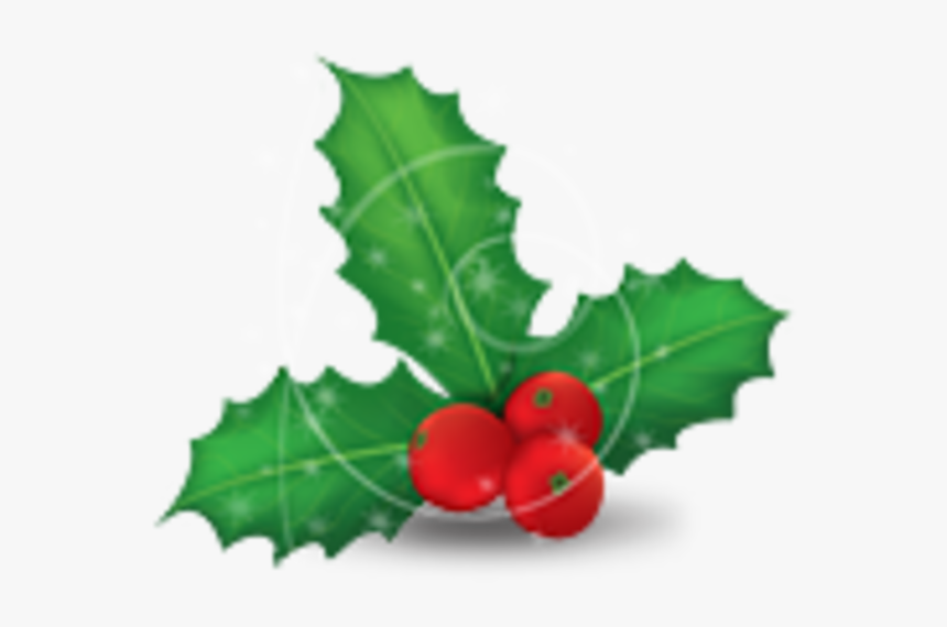 Christmas Mistletoe, HD Png Download, Free Download