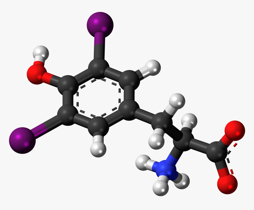 Diiodotyrosine Zwitterion 3d Ball - Hormones Clipart, HD Png Download, Free Download