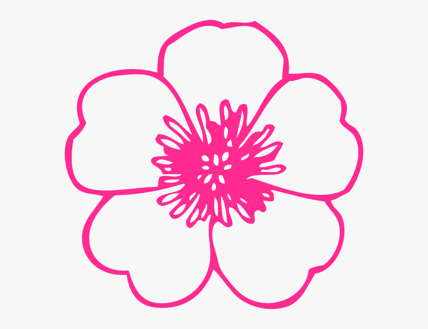 Flower Svg Clip Arts - Flowers With No Color, HD Png Download, Free Download