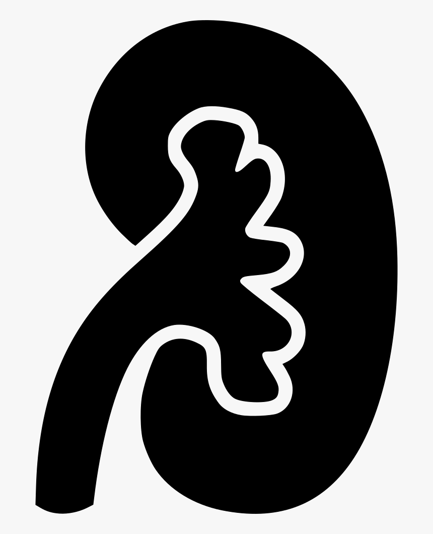 Transparent Kidney Png - Kidney Png In Black, Png Download, Free Download