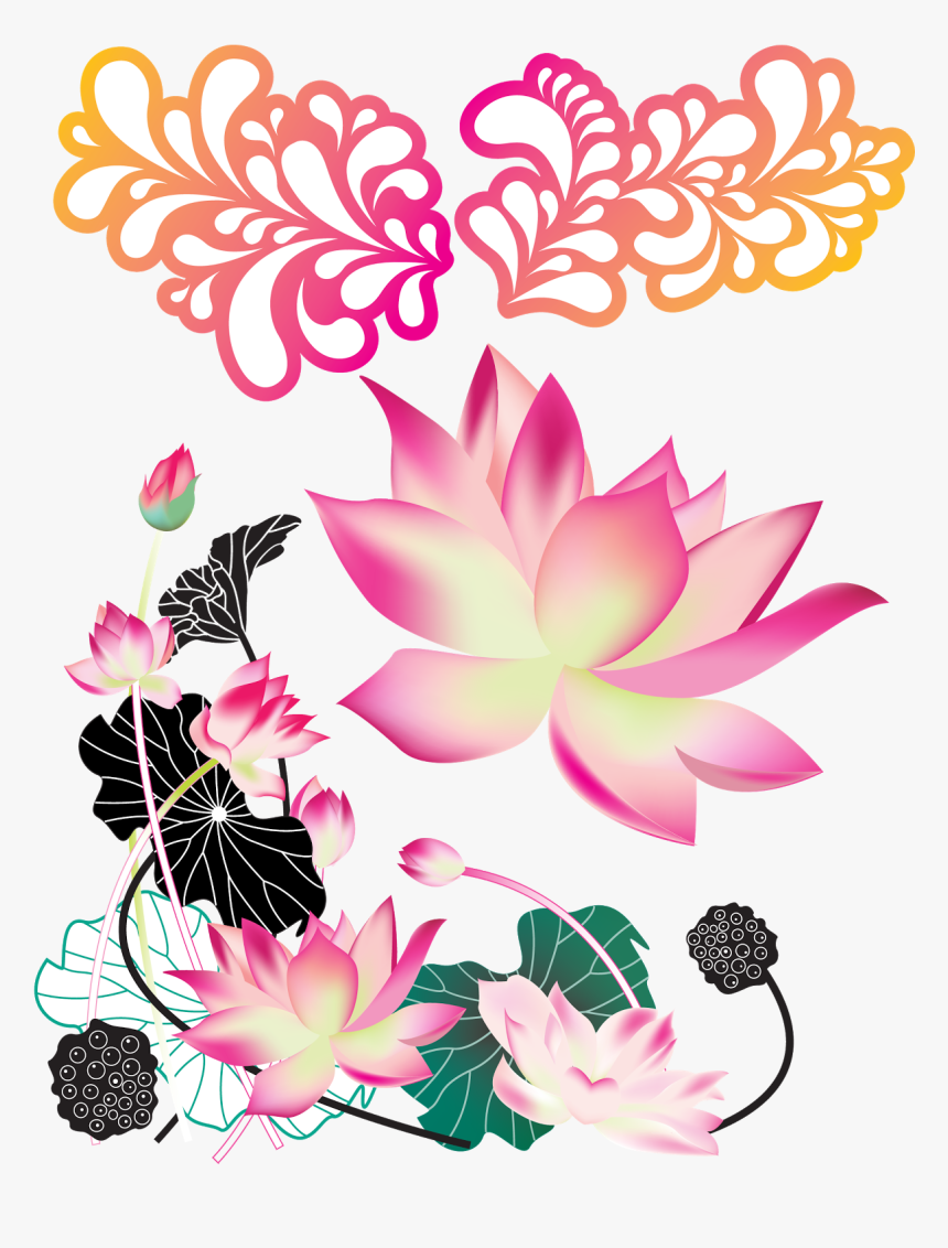 Lotus Vector, HD Png Download, Free Download