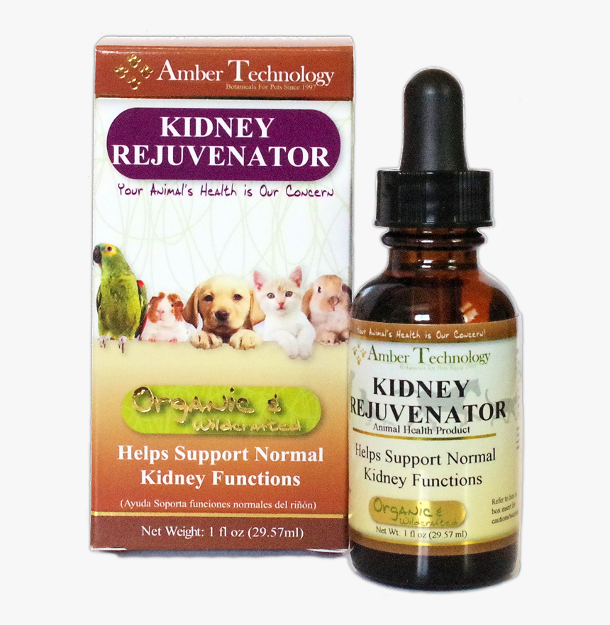 Amber Technology Kidney Rejuvenator 1oz - Dandelion Leaf For Dogs, HD Png Download, Free Download