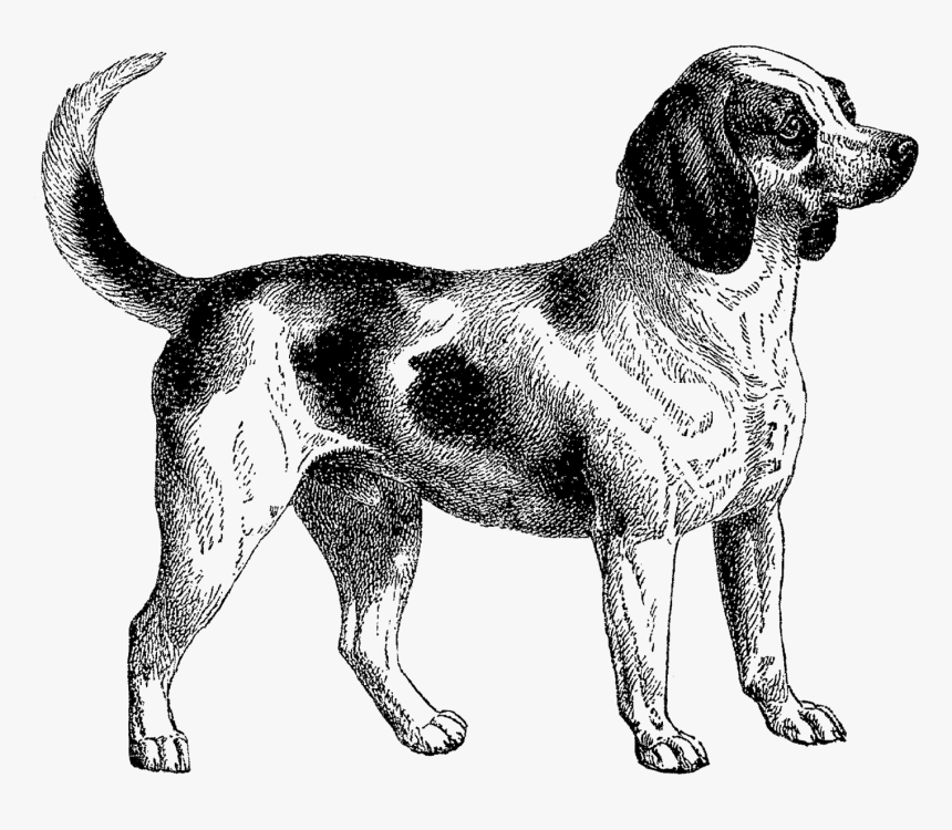 Dog Vintage Clip Art, HD Png Download, Free Download