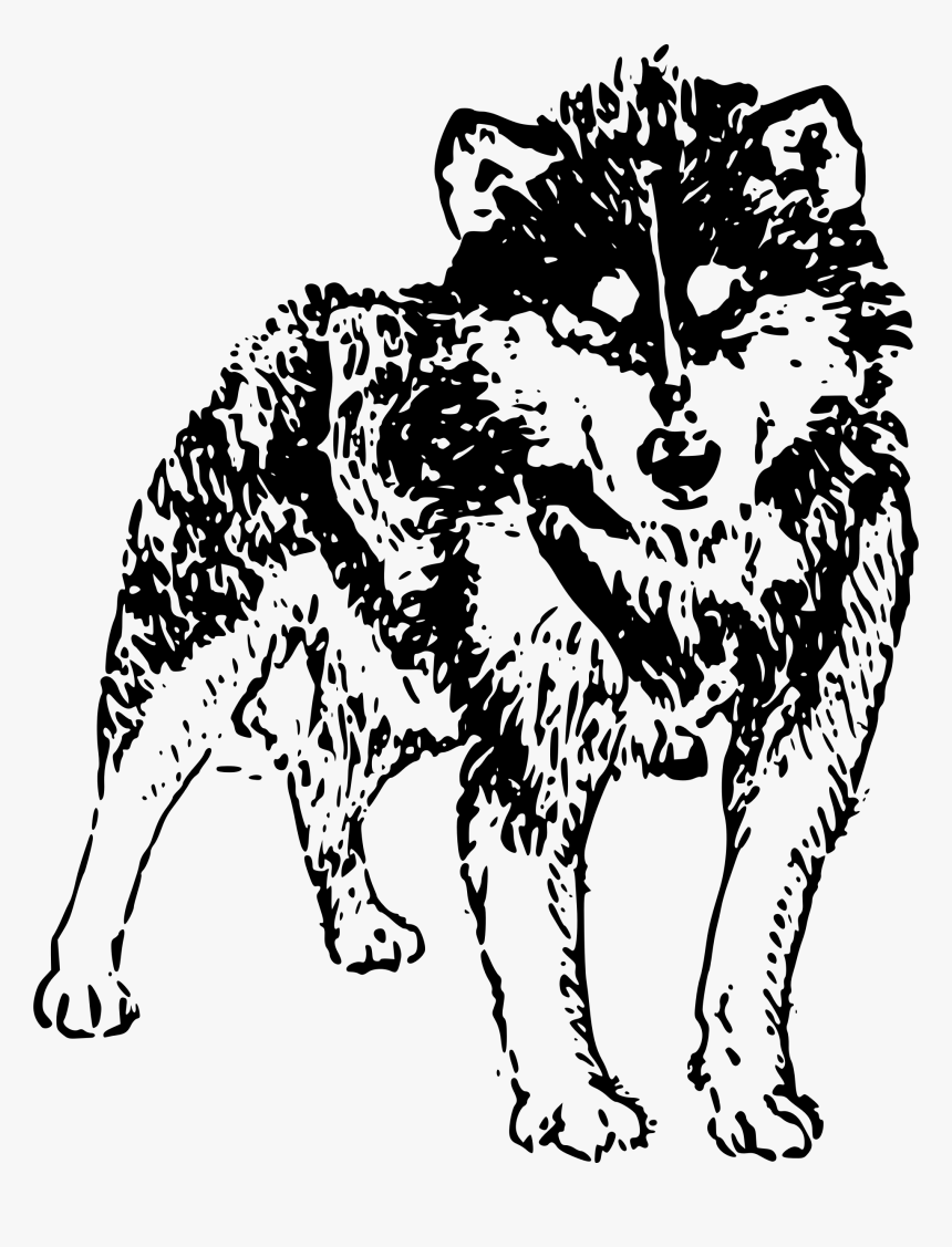 Dog Clipart Husky Dog Husky Transparent Free For Download - Clipart Husky, HD Png Download, Free Download