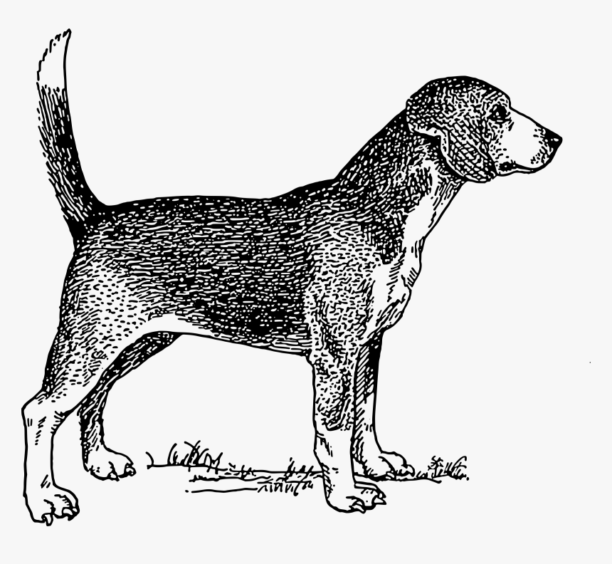 Clipart Image Of Dog Png Black And White, Transparent Png, Free Download