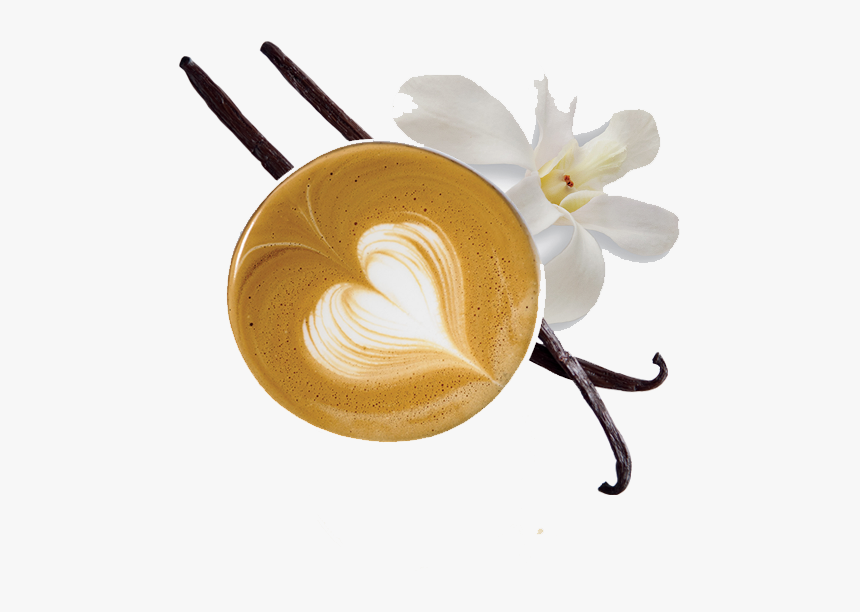 Café Au Lait, HD Png Download, Free Download