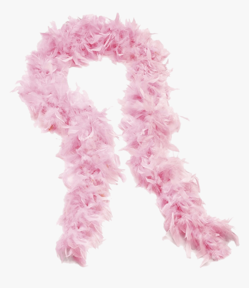 Rose Boa Scarf - Pink Feather Boa Png, Transparent Png, Free Download