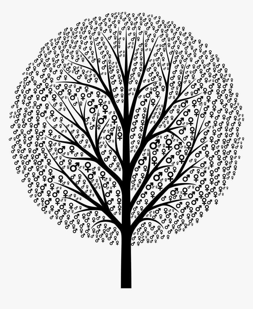 Gender Symbols Tree Black Clip Arts - Printable Tree Silhouette Free, HD Png Download, Free Download