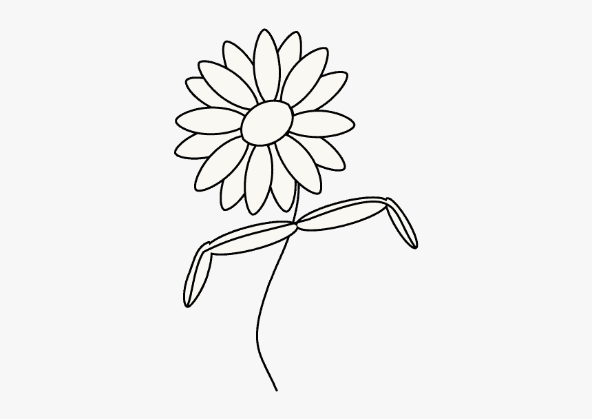 How To Draw Daisy Flower - Draw A Daisy Step By Step, HD Png Download, Free Download