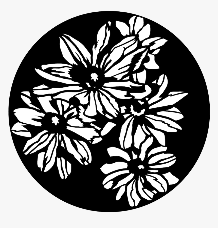 Apollo Daisy Group - Circle, HD Png Download, Free Download