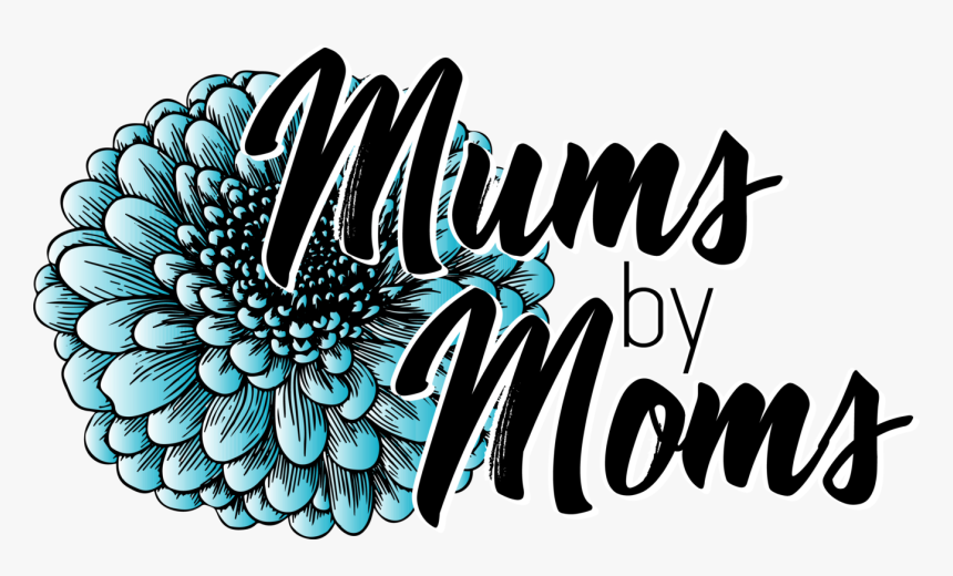 Mums By Moms - Chrysanths, HD Png Download, Free Download