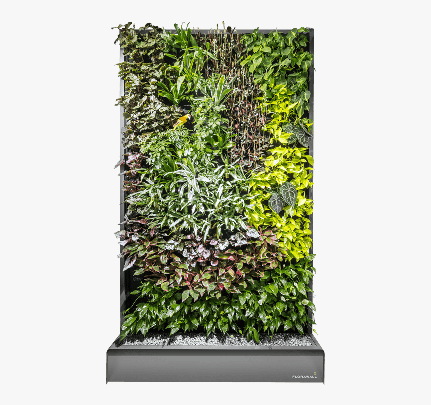 This Is The Way It Works - Transparent Green Wall Png, Png Download, Free Download
