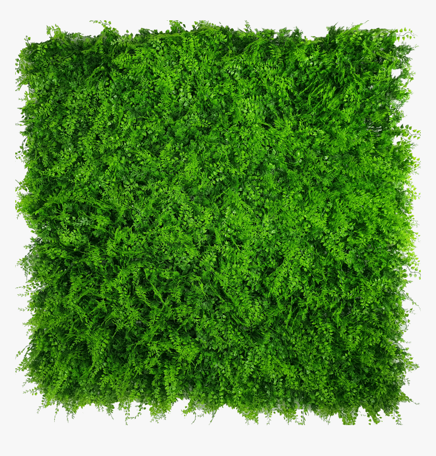 Green Wall Png, Transparent Png, Free Download