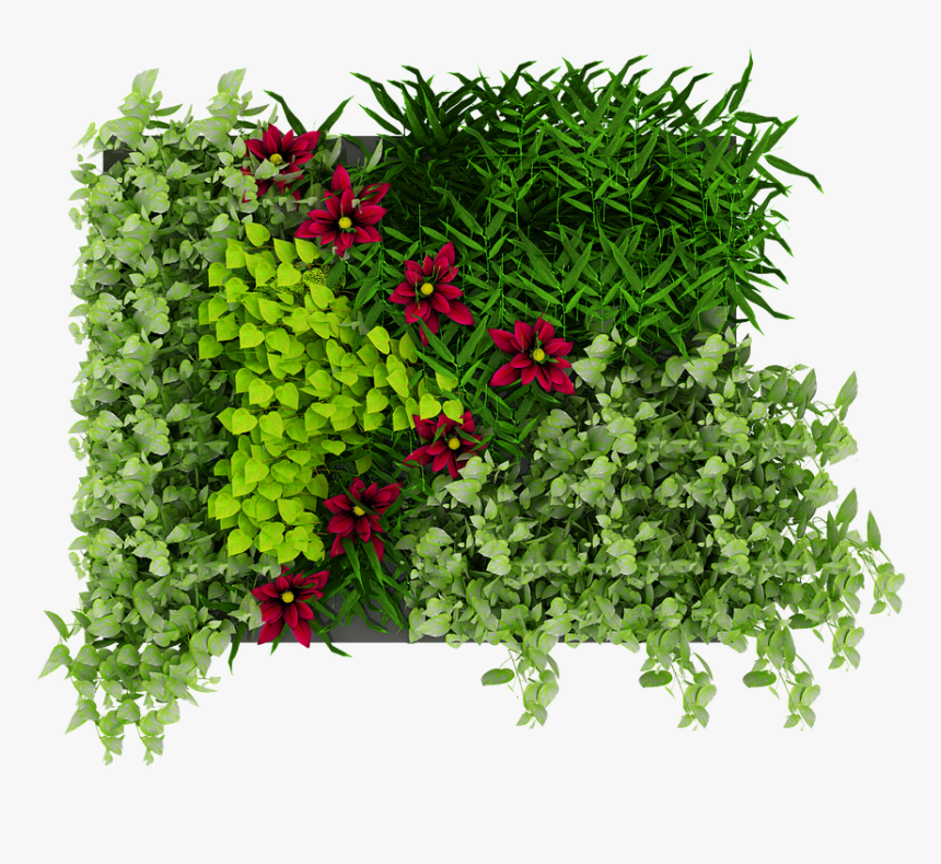 Green, Wall, Leaves, Flowers, Nature - Plant Green Wall Png, Transparent Png, Free Download