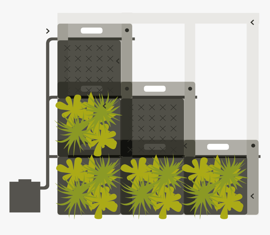 Structure Of A Sempergreenwall - Flexipanel, HD Png Download, Free Download