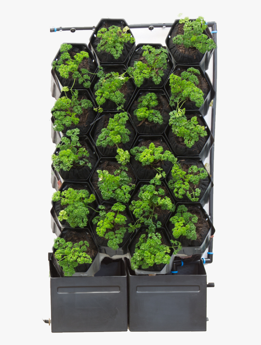 20 Pot Green Wall - Flowerpot, HD Png Download, Free Download