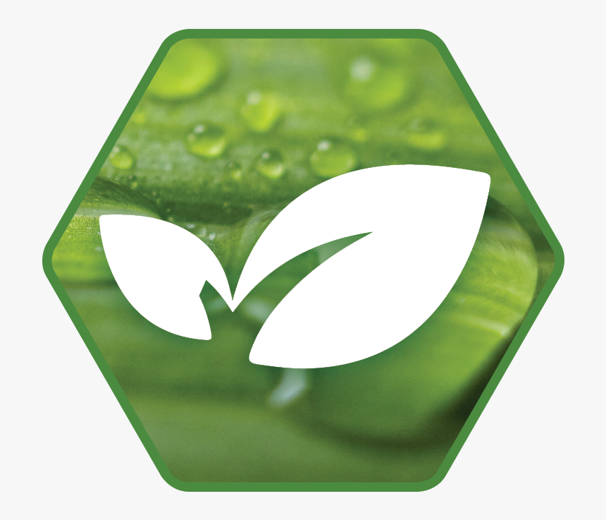 Transparent Sustainability Png - Drop, Png Download, Free Download