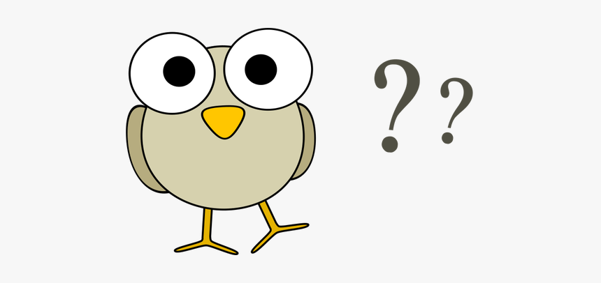 Vector Drawing Of Funny Grey Cartoon Bird With Big - Birds Question Mark, HD Png Download, Free Download