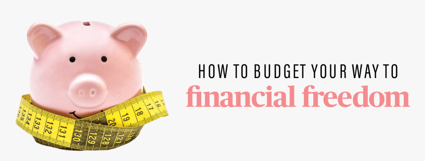 Budget Your Way To Finacial Freedom - Domestic Pig, HD Png Download, Free Download