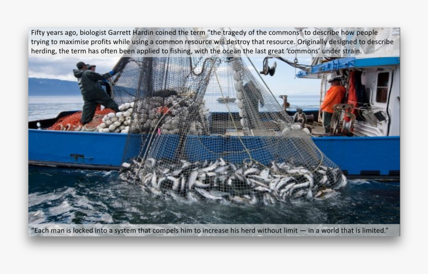 Commercial Ocean Fishing , Png Download - Agriculture Forestry And Fishing, Transparent Png, Free Download