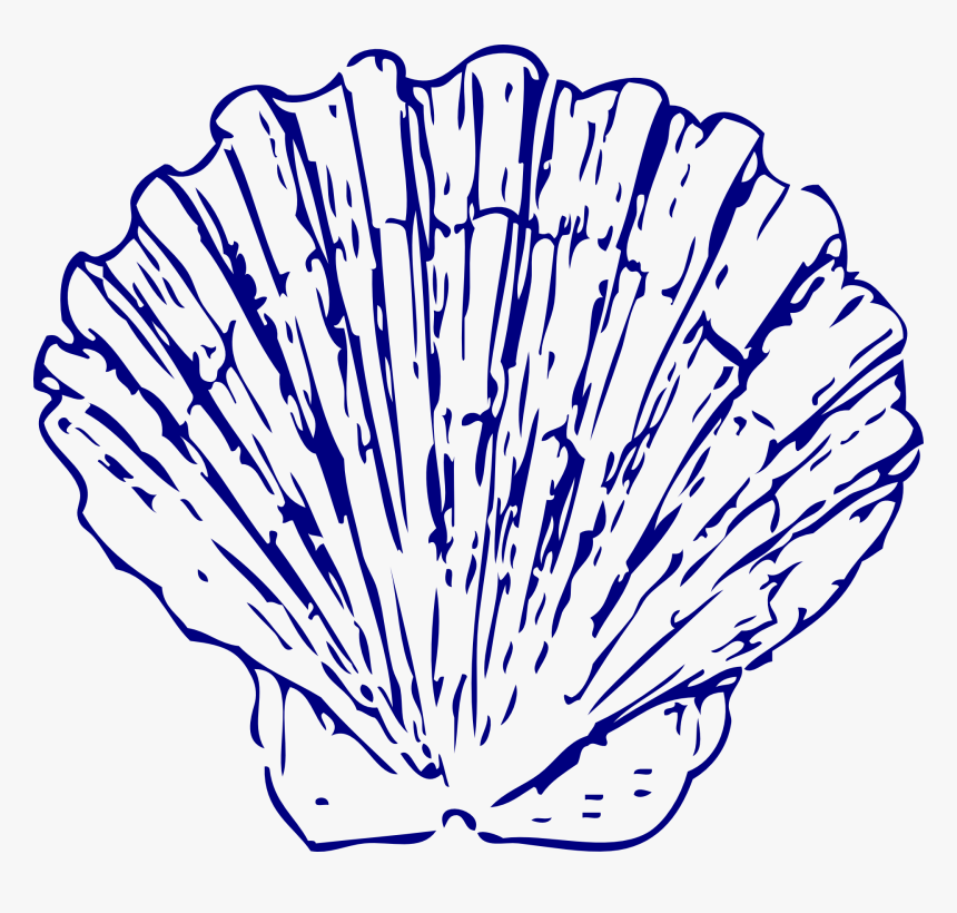 Seashell Blue Clip Art - Blue Seashells Transparent Background, HD Png Download, Free Download