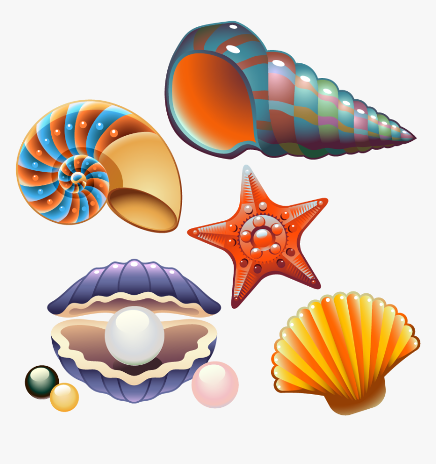 Clam Seashell Nautilidae Clip Art - Cute Seashell Clip Art, HD Png Download, Free Download