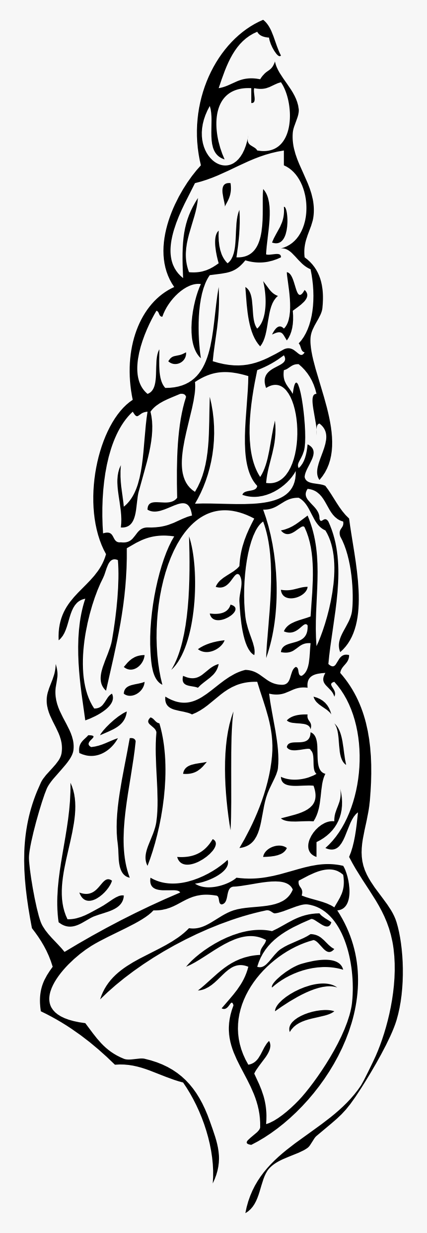 Seashell Drawing Clam Clip Art - Long Seashell Clipart, HD Png Download, Free Download