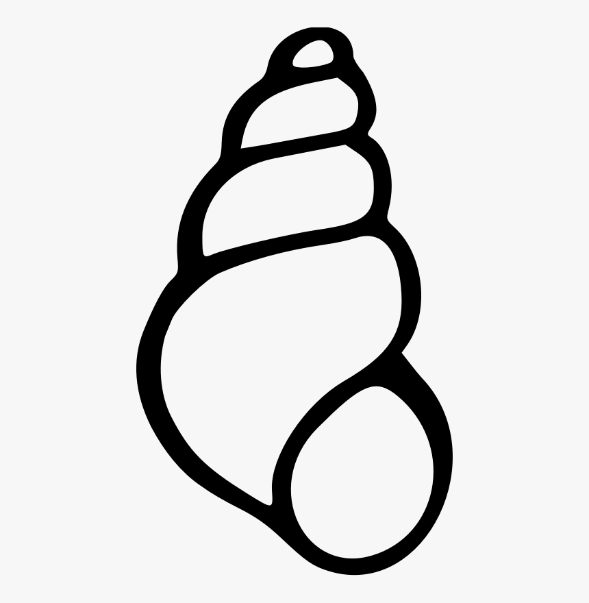 Sea Shell - Sea Shells Cartoon Drawing, HD Png Download, Free Download