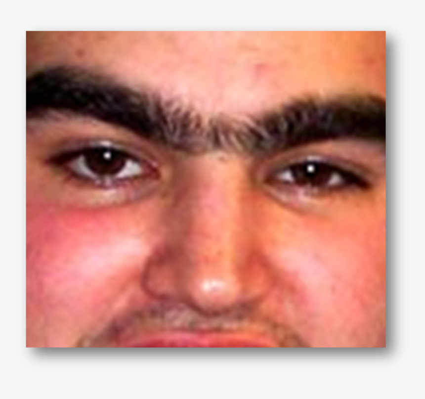 Unibrow Png, Transparent Png, Free Download