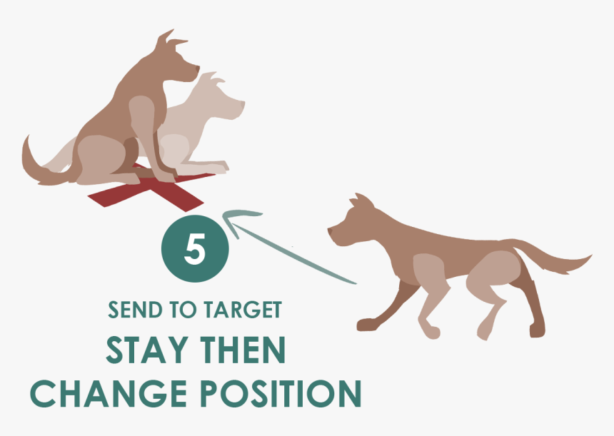 Target Dog Png - Illustration, Transparent Png, Free Download