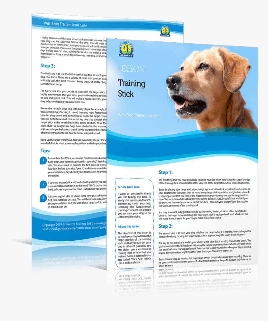 Share This Free Dog Training Lesson With Your Dog Loving - Labrador Retriever, HD Png Download, Free Download