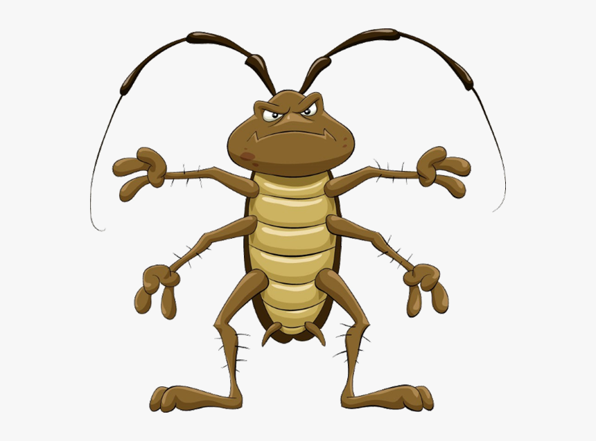 Angry Cockroach, HD Png Download, Free Download