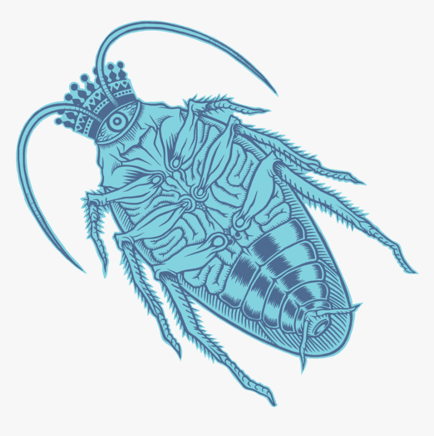 House Fly, HD Png Download, Free Download