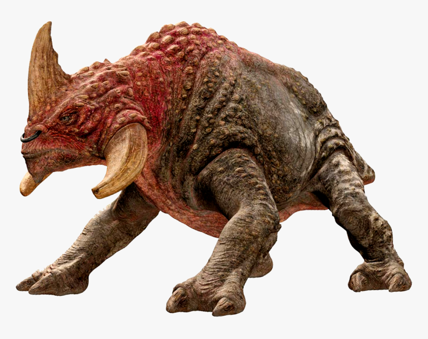 Reek Acklay Any Nexu, HD Png Download, Free Download