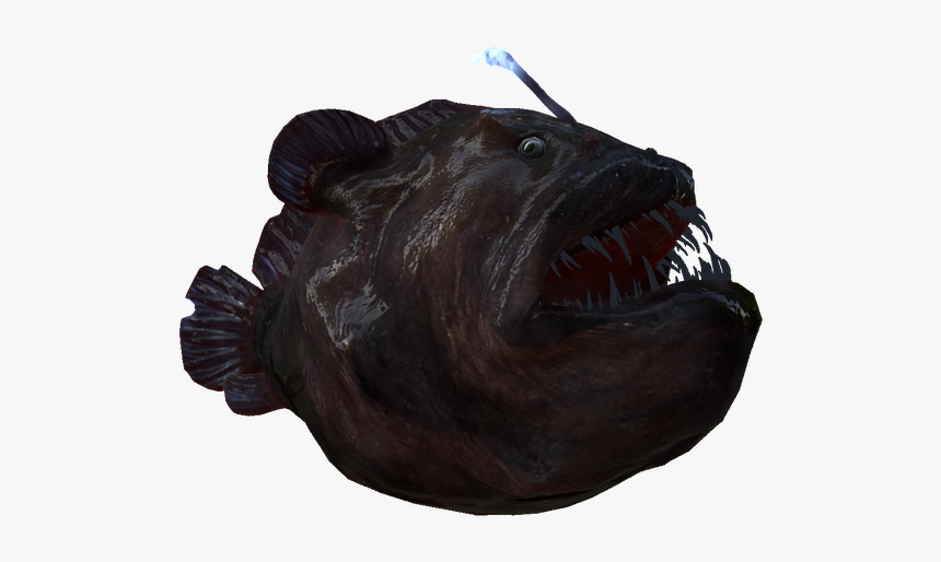 Monkfish, HD Png Download, Free Download