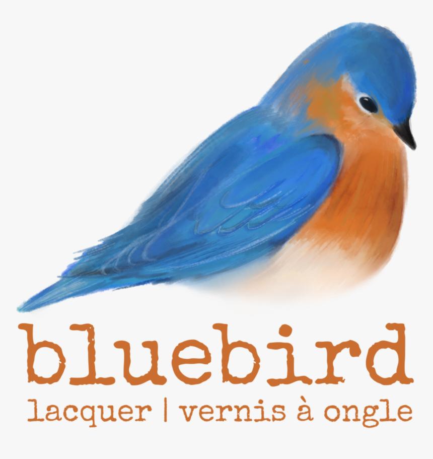 Eastern Bluebird, HD Png Download, Free Download