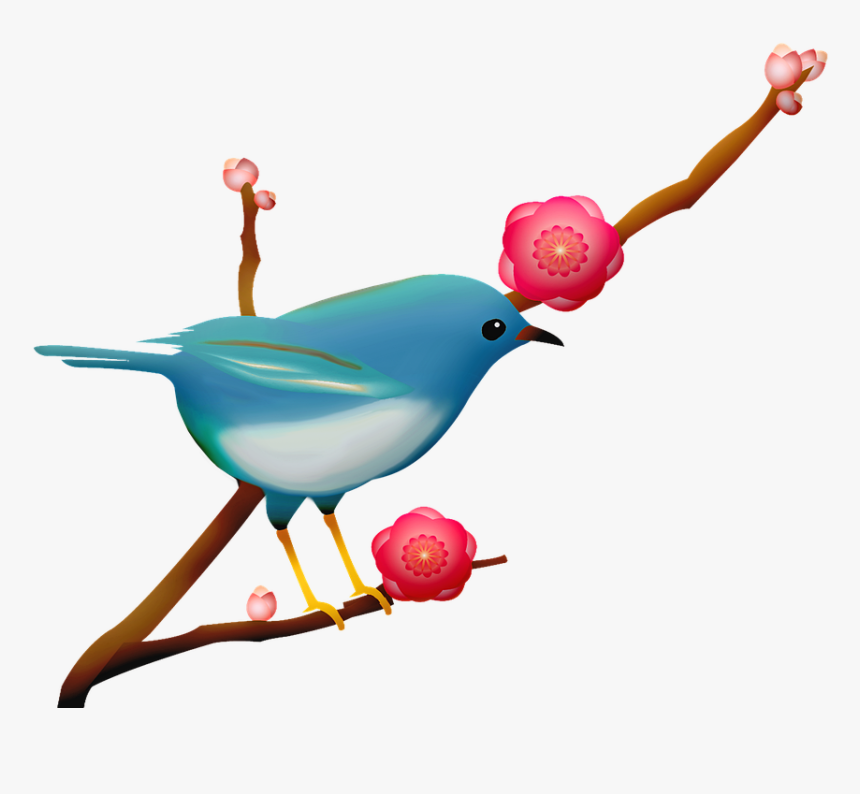 Blue Bird, Sakura Branch, Bird On Branch, Pink Flower - Bluebird, HD Png Download, Free Download