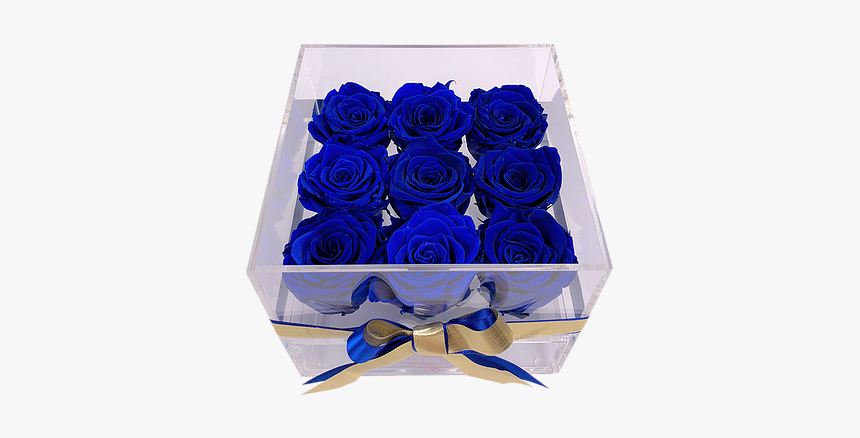 Blue Rose, HD Png Download, Free Download