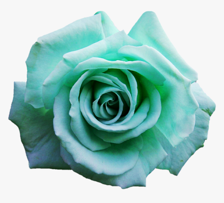 Turquoise Flower Png - Png Turquoise Flower, Transparent Png, Free Download