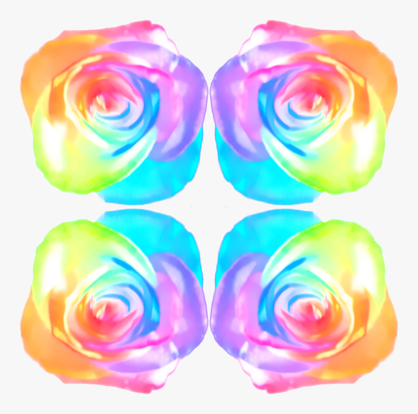 Transparent Rainbow Rose Png - Garden Roses, Png Download, Free Download