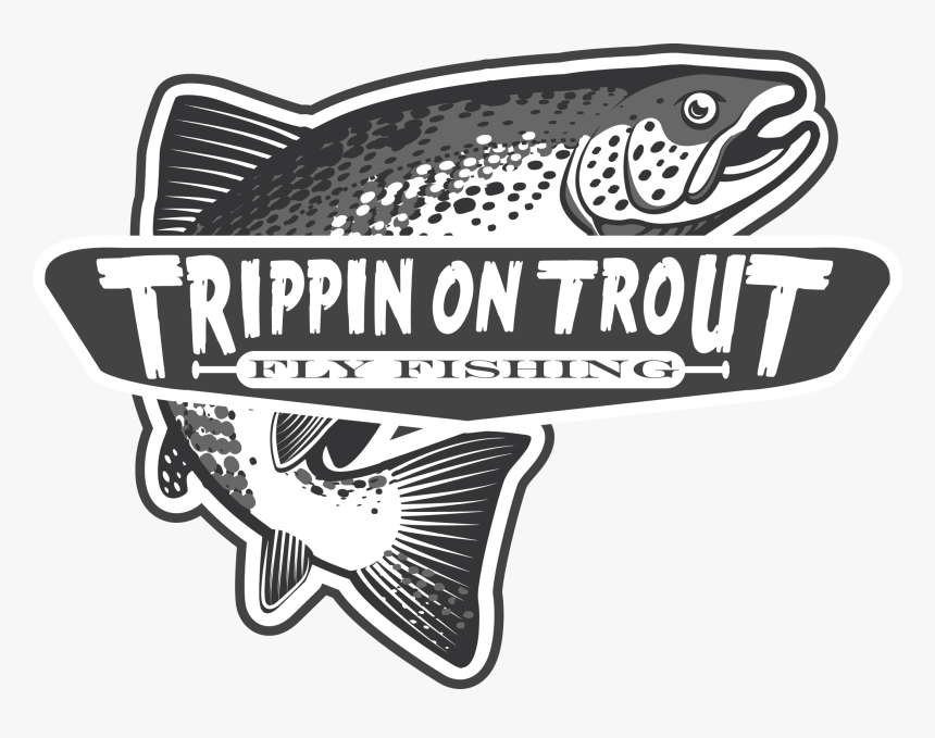 Transparent Trout Clipart - Logo Fly Fishing, HD Png Download, Free Download