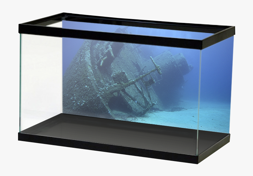 Specialty Shipwreck - Aquarium Frosted Background, HD Png Download, Free Download