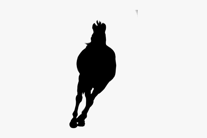 Running Horse Png Transparent Images - Silhouette, Png Download, Free Download