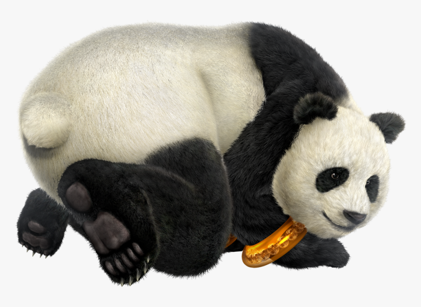 Transparent Panda Head Png - Panda Tekken 7 Fr, Png Download, Free Download
