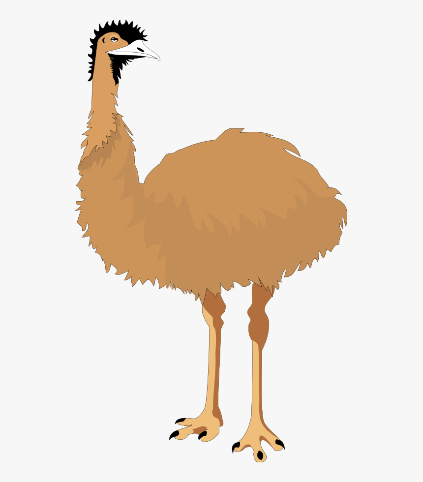 Clip Art Library - Cartoon Clipart Emu, HD Png Download, Free Download