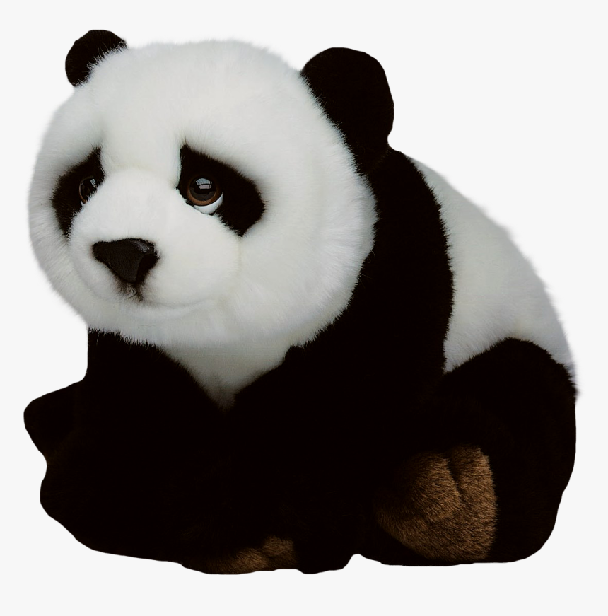 Giant Panda Png - Oso Con Fondo Transparente, Png Download, Free Download