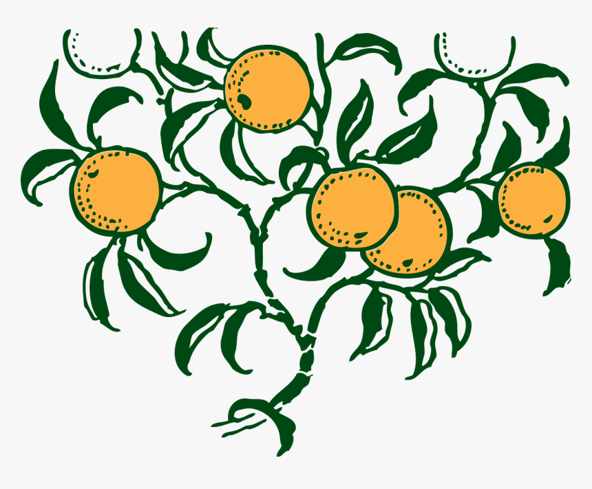 Orange Tree Graphic Art, HD Png Download, Free Download