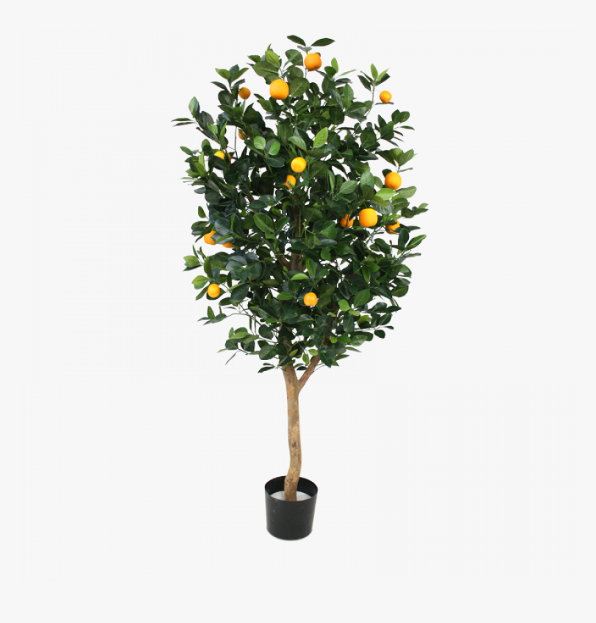 Mandarin-orange - Artificial Orange Tree Png, Transparent Png, Free Download