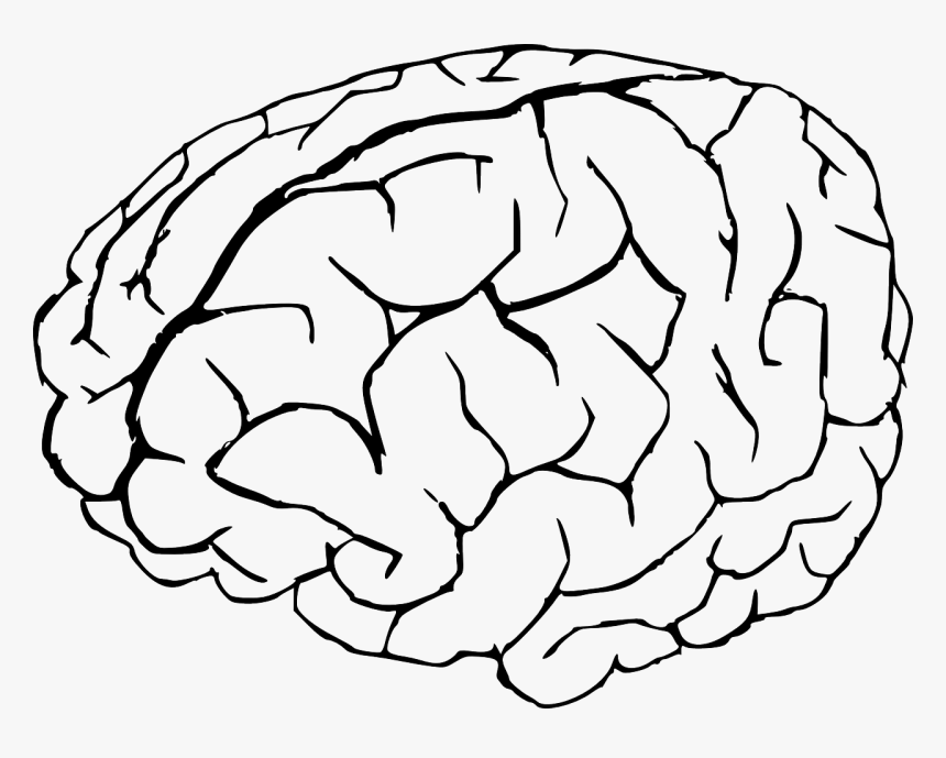 Brain Black And White Clipart, HD Png Download, Free Download