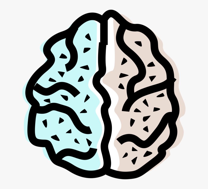 Vector Illustration Of Human Brain Left And Right Hemisphere, HD Png Download, Free Download